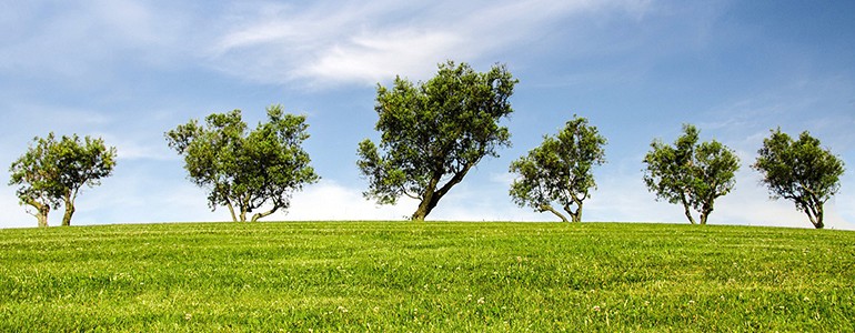 Ambiente, un terzo degli habitat in Europa sono a rischio
