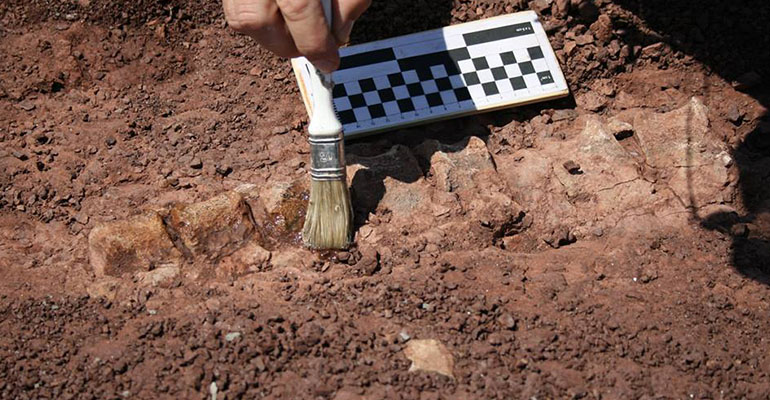 scavi_paleontologi