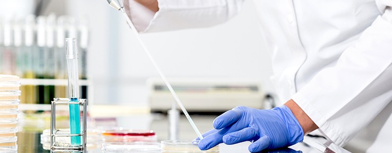 Ricerca all’Università di Pavia: le ultime novità