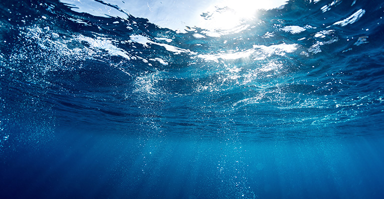 ecologia_mare_smithsonian