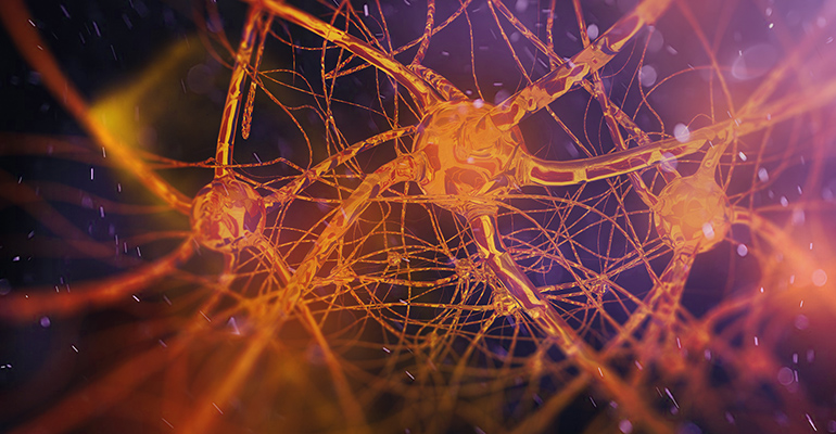 neuro_plos