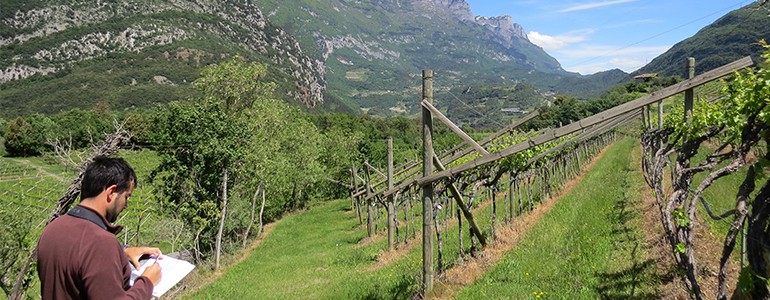 Ricercatore unipv premiato per studio sulla biodiversità dei paesaggi agricoli