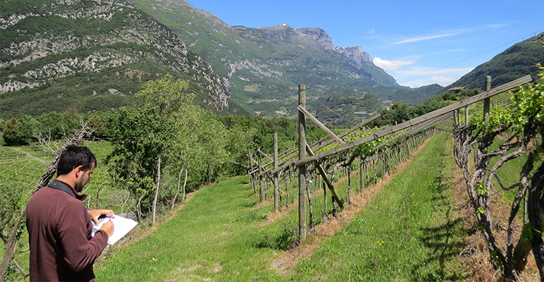 Assandri_ecologia_trentino